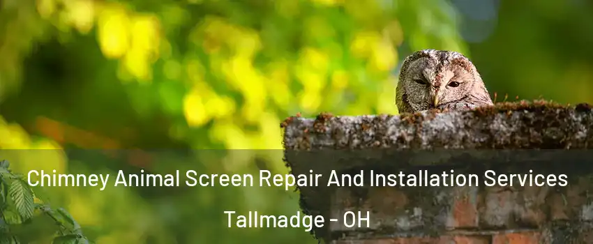Chimney Animal Screen Repair And Installation Services Tallmadge - OH