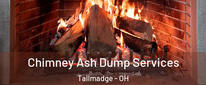 Chimney Ash Dump Services Tallmadge - OH