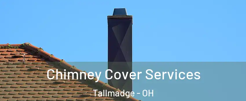 Chimney Cover Services Tallmadge - OH
