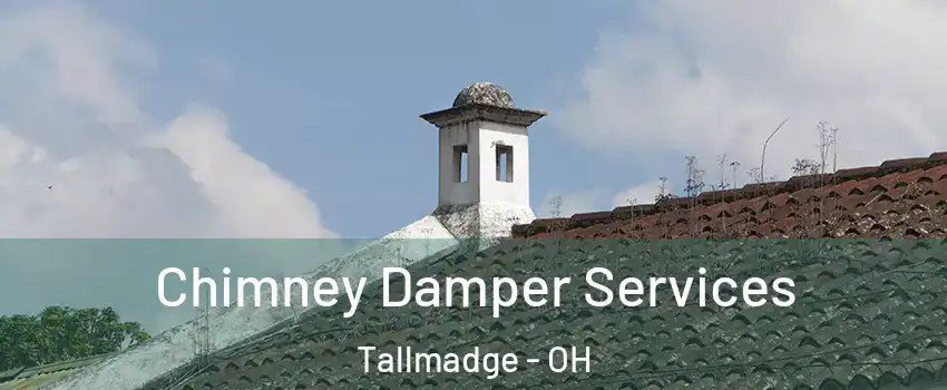 Chimney Damper Services Tallmadge - OH