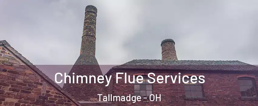 Chimney Flue Services Tallmadge - OH