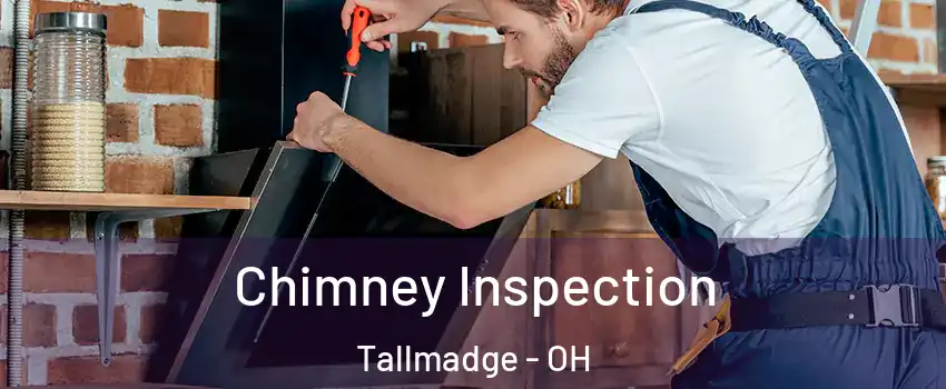 Chimney Inspection Tallmadge - OH