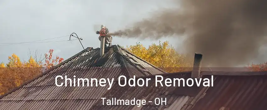 Chimney Odor Removal Tallmadge - OH