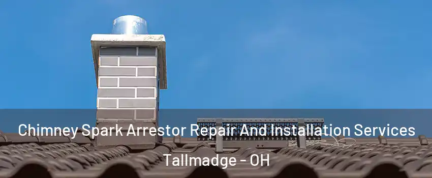 Chimney Spark Arrestor Repair And Installation Services Tallmadge - OH