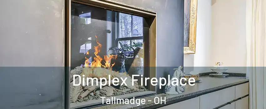 Dimplex Fireplace Tallmadge - OH