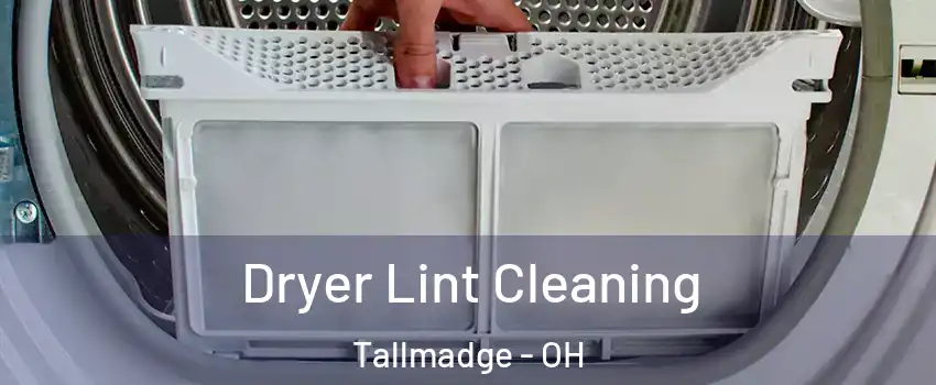 Dryer Lint Cleaning Tallmadge - OH