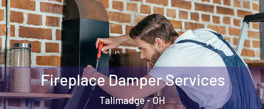 Fireplace Damper Services Tallmadge - OH