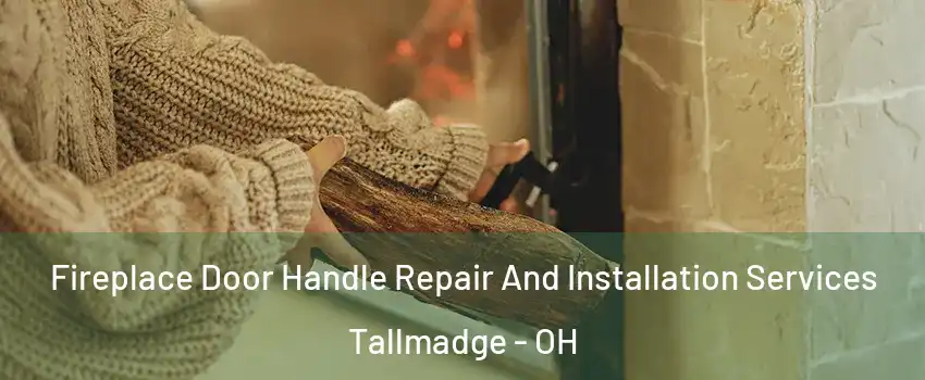 Fireplace Door Handle Repair And Installation Services Tallmadge - OH