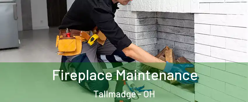 Fireplace Maintenance Tallmadge - OH