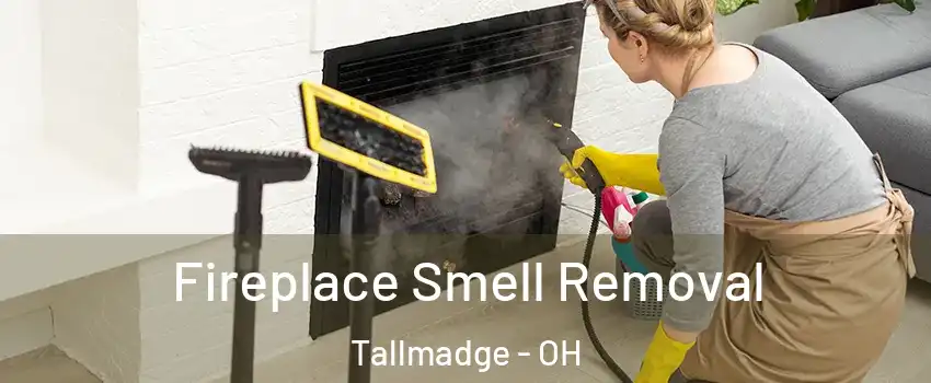 Fireplace Smell Removal Tallmadge - OH