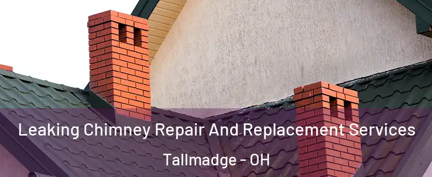 Leaking Chimney Repair And Replacement Services Tallmadge - OH