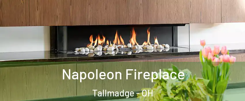 Napoleon Fireplace Tallmadge - OH